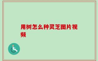 用树怎么种灵芝图片视频
