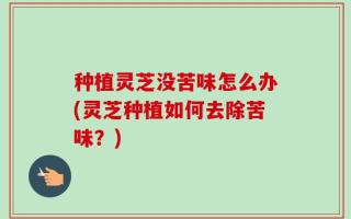 种植灵芝没苦味怎么办(灵芝种植如何去除苦味？)