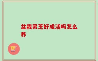 盆栽灵芝好成活吗怎么养