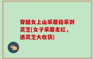 穿越女上山采蘑菇采到灵芝(女子采蘑走红，遇灵芝大收获)
