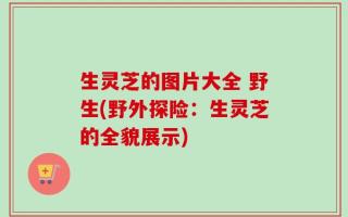 生灵芝的图片大全 野生(野外探险：生灵芝的全貌展示)