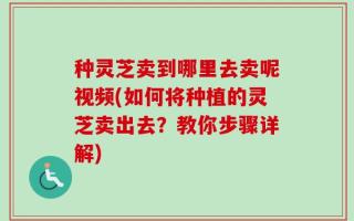 种灵芝卖到哪里去卖呢视频(如何将种植的灵芝卖出去？教你步骤详解)