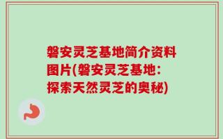 磐安灵芝基地简介资料图片(磐安灵芝基地：探索天然灵芝的奥秘)