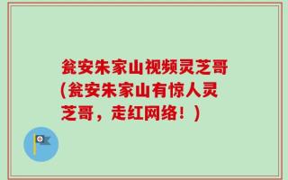 瓮安朱家山视频灵芝哥(瓮安朱家山有惊人灵芝哥，走红网络！)