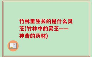 竹林里生长的是什么灵芝(竹林中的灵芝——神奇的药材)