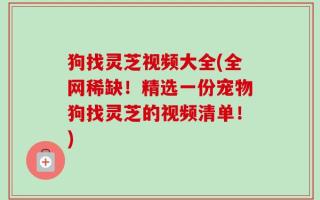 狗找灵芝视频大全(全网稀缺！精选一份宠物狗找灵芝的视频清单！)