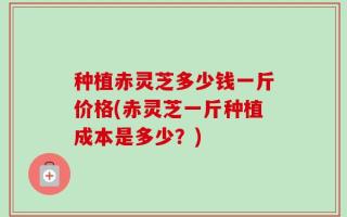 种植赤灵芝多少钱一斤价格(赤灵芝一斤种植成本是多少？)