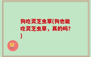 狗吃灵芝虫草(狗也能吃灵芝虫草，真的吗？)