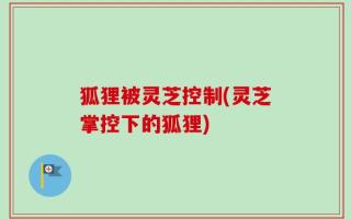 狐狸被灵芝控制(灵芝掌控下的狐狸)