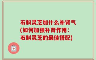 石斛灵芝加什么补肾气(如何加强补肾作用：石斛灵芝的最佳搭配)