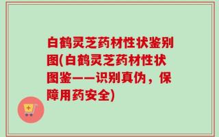 白鹤灵芝药材性状鉴别图(白鹤灵芝药材性状图鉴——识别真伪，保障用药安全)