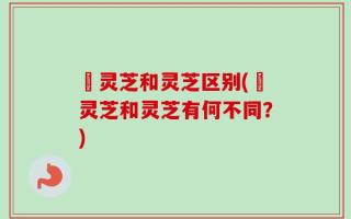 矷灵芝和灵芝区别(矷灵芝和灵芝有何不同？)