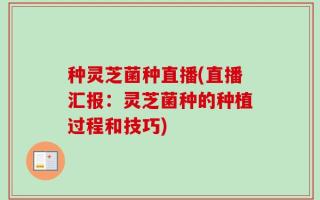 种灵芝菌种直播(直播汇报：灵芝菌种的种植过程和技巧)