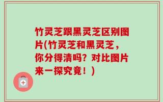 竹灵芝跟黑灵芝区别图片(竹灵芝和黑灵芝，你分得清吗？对比图片来一探究竟！)