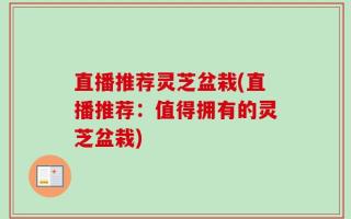 直播推荐灵芝盆栽(直播推荐：值得拥有的灵芝盆栽)
