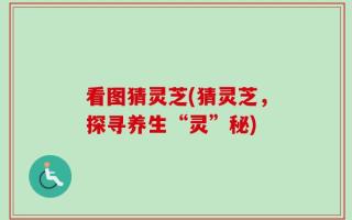 看图猜灵芝(猜灵芝，探寻养生“灵”秘)