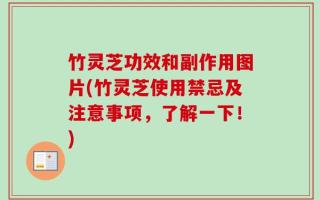 竹灵芝功效和副作用图片(竹灵芝使用禁忌及注意事项，了解一下！)