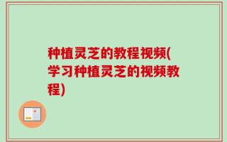 种植灵芝的教程视频(学习种植灵芝的视频教程)