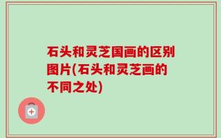石头和灵芝国画的区别图片(石头和灵芝画的不同之处)