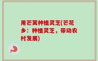 用芒萁种植灵芝(芒花乡：种植灵芝，带动农村发展)