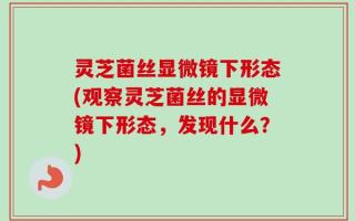 灵芝菌丝显微镜下形态(观察灵芝菌丝的显微镜下形态，发现什么？)
