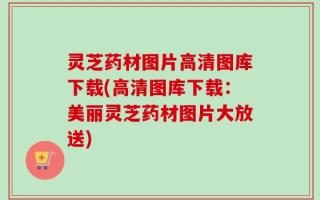 灵芝药材图片高清图库下载(高清图库下载：美丽灵芝药材图片大放送)
