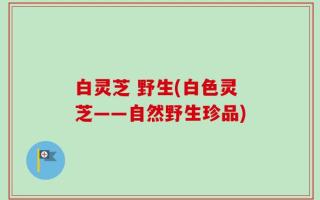 白灵芝 野生(白色灵芝——自然野生珍品)