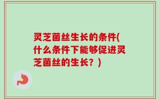 灵芝菌丝生长的条件(什么条件下能够促进灵芝菌丝的生长？)