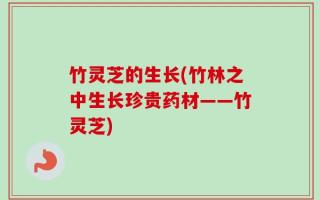 竹灵芝的生长(竹林之中生长珍贵药材——竹灵芝)