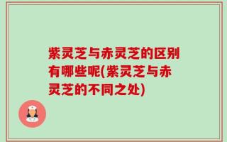 紫灵芝与赤灵芝的区别有哪些呢(紫灵芝与赤灵芝的不同之处)
