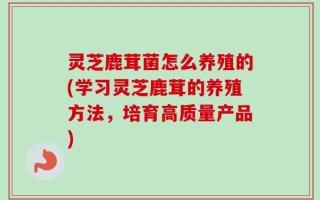 灵芝鹿茸菌怎么养殖的(学习灵芝鹿茸的养殖方法，培育高质量产品)
