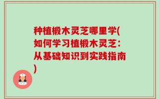 种植椴木灵芝哪里学(如何学习植椴木灵芝：从基础知识到实践指南)