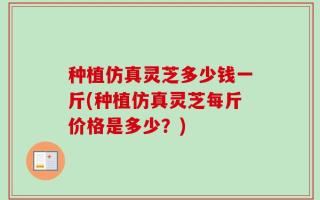 种植仿真灵芝多少钱一斤(种植仿真灵芝每斤价格是多少？)