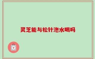 灵芝能与松针泡水喝吗