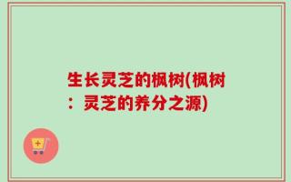 生长灵芝的枫树(枫树：灵芝的养分之源)