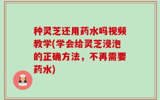 种灵芝还用药水吗视频教学(学会给灵芝浸泡的正确方法，不再需要药水)
