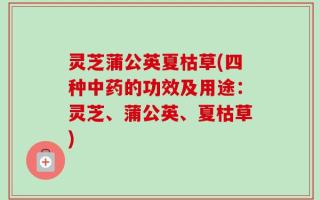 灵芝蒲公英夏枯草(四种中药的功效及用途：灵芝、蒲公英、夏枯草)