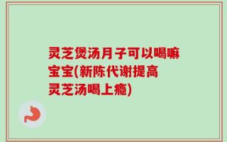 灵芝煲汤月子可以喝嘛宝宝(新陈代谢提高　灵芝汤喝上瘾)