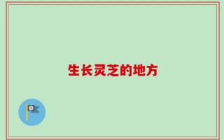 生长灵芝的地方