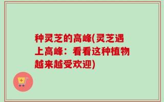 种灵芝的高峰(灵芝遇上高峰：看看这种植物越来越受欢迎)