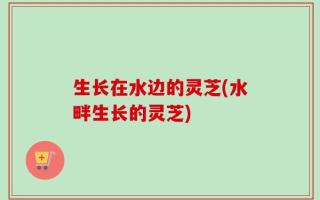 生长在水边的灵芝(水畔生长的灵芝)