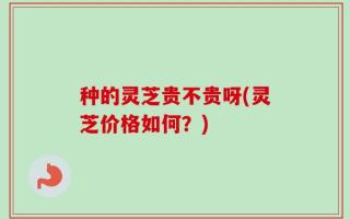 种的灵芝贵不贵呀(灵芝价格如何？)