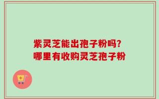 紫灵芝能出孢子粉吗？哪里有收购灵芝孢子粉
