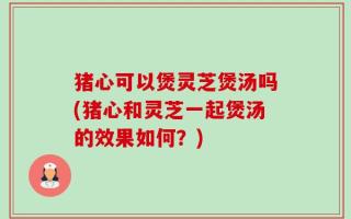 猪心可以煲灵芝煲汤吗(猪心和灵芝一起煲汤的效果如何？)