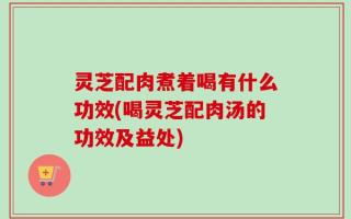 灵芝配肉煮着喝有什么功效(喝灵芝配肉汤的功效及益处)