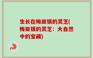 生长在梅田镇的灵芝(梅田镇的灵芝：大自然中的宝藏)