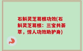 石斛灵芝葛根功效(石斛灵芝葛根：三宝共荟萃，惊人功效助护身)
