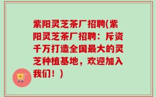紫阳灵芝茶厂招聘(紫阳灵芝茶厂招聘：斥资千万打造全国最大的灵芝种植基地，欢迎加入我们！)