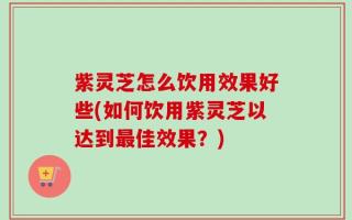 紫灵芝怎么饮用效果好些(如何饮用紫灵芝以达到最佳效果？)