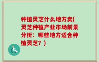 种植灵芝什么地方卖(灵芝种植产业市场前景分析：哪些地方适合种植灵芝？)
